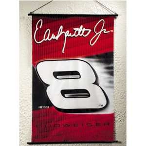  Dale Earnhardt Jr. #8 NASCAR 28x40 Indoor Banner Scroll by 