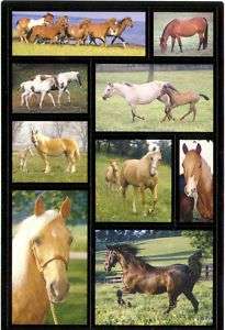 American Greetings Horses Stallions Mare Colts Stickers  