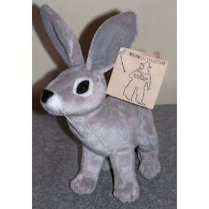  Blacktailed Jackrabbit Toys & Games