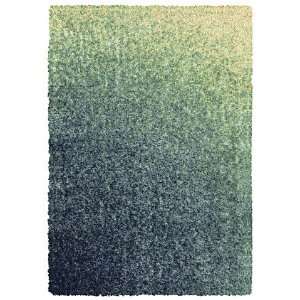  Shaw Encore Jaku Blue 6400 3 3 x 5 Area Rug