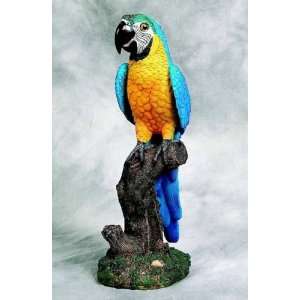 Polyresin Macaw Parrot 