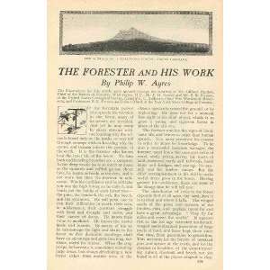  1901 Forester His Work Forestry Trees Lumbering 