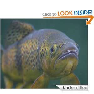   of How To Locate The Big Fish Fisherman Jim  Kindle Store