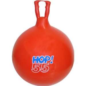  22 Hop/Jump Ball by Olympia Sports 