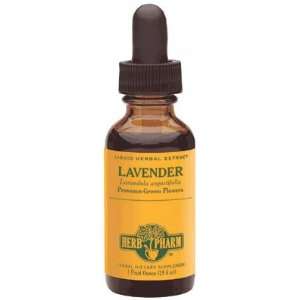 Lavender Extract