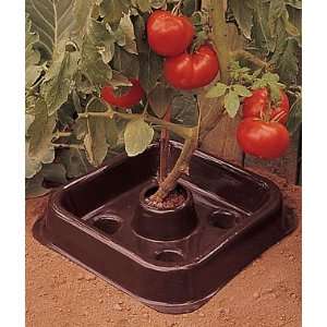 Tomato & Pepper Automator Trays 