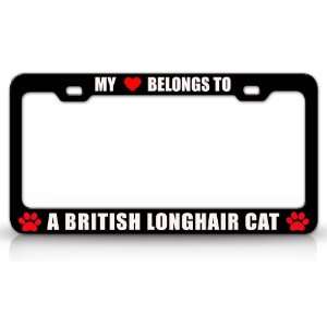 MY HEART BELONGS TO A BRITISH LONGHAIR Cat Pet Auto License Plate 