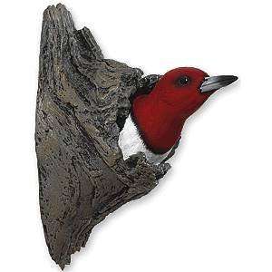  Red headed Woodpecker