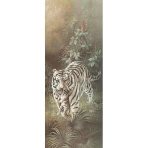  White Tigers Poster Print