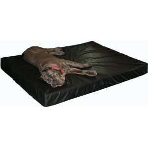   Grade Orthopedic Memory Foam Dog Bed   Buckskin, X Large