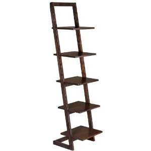  Leaning Ladder Bookshelf