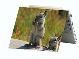 Squirrel Chipmunk Laptop Netbook Skin Decal Cover  