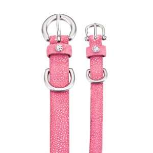  Polished Stingray Dog Collar   Pink