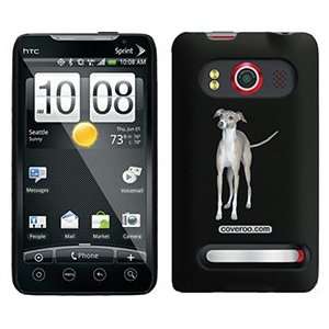  Italian Greyhound on HTC Evo 4G Case  Players 