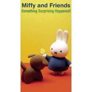  Something Surprising Happened [VHS] Miffy & Friends Movies & TV
