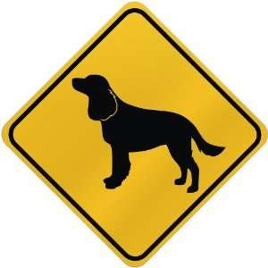  ONLY  AMERICAN WATER SPANIEL  CROSSING SIGN DOG