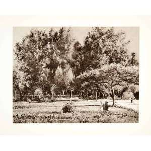 1931 Photogravure Poplar Afternoon Landscape Post Impressionism 
