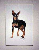 Boxer Dog Custom Pet Portrait of your Dog 8 x 10  