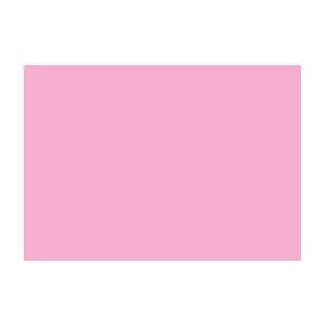  Erengi Art Aspirer Oil Pastel   Box of 12   Rose Pink Pale 