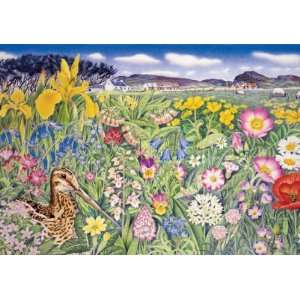  Wild Flowers with Snipe 250 Piece Wooden Jigsaw Puzzle 