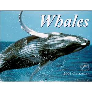  Whales 2001 (9781559494908) Books