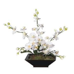   Artificial Potted White Orchid Silk Flower Arrangement