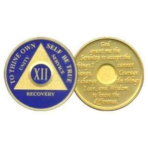  12 Year 24K Gold Plated AA Birthday   Anniversary Recovery 