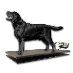 ZIEIS  150 Lb. Capacity  Large Pet Series   Digital Dog 