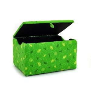  Dinosaur Train   Buddy Green Storage Box Toys & Games