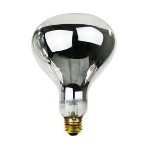   250 Watt, Medium Based, R40 Heat Lamp Bulb, Clear