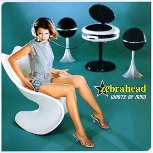  Waste of Mind Zebrahead Music