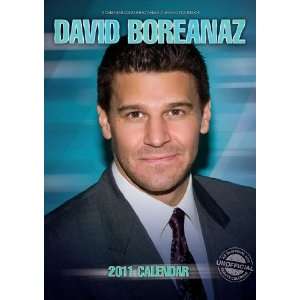 2011 Movie Calendars David Boreanaz   12 Month Movie   42x29cm 