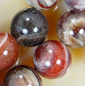 10mm Natural AAA Petrified Wood Round Beads 15.5  