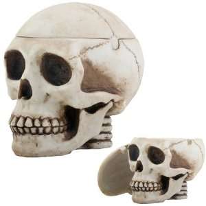  Skull Head Box Ashtray Display Decoration
