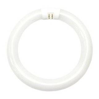   33774 Cool White 8 Inch Diameter Circline Fluorescent T9 Bulb, 22 Watt