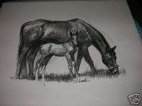 DS Schwartz Drawing Picture Mare & Colt Horse  