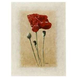  Coquelicot 2 by Laurence David 12x16
