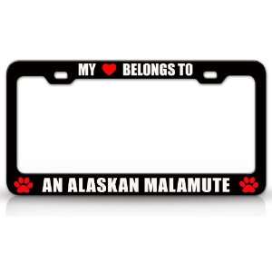  MY HEART BELONGS TO AN ALASKAN MALAMUTE Dog Pet Steel 