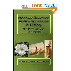  Discover Cherokee Native Americans in History Big Picture 