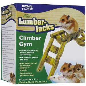  Lumber Jack Climbing Gym (Quantity of 4) Health 