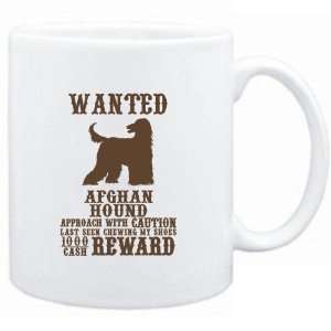  Mug White  Wanted Afghan Hound   $1000 Cash Reward  Dogs 