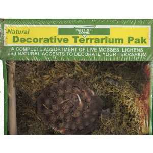  Terrarium Pack   Tropical 10 Gal