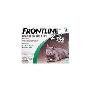  12 month Frontline Plus for Cats