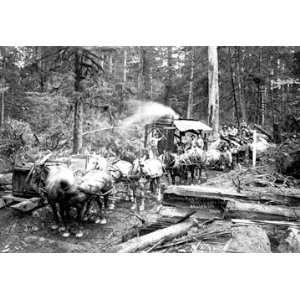  Loggers and Their Logs 16X24 Giclee Paper