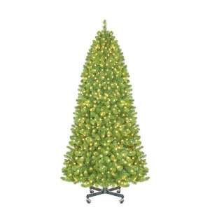  9 ft. Sequoia Pre Lit LED Slender Christmas Tree