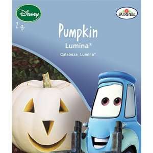  Disney Cars, Pumpkin, Lumina 1 Pkt.