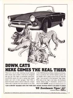 1965 Sunbeam Tiger art Her Comes The Real Tiger Ad  