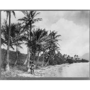  Male native in loincloth on shore,Puna,Hawaii,HI,c1910 