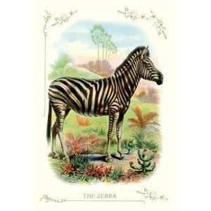  Vintage Art Zebra   11198 4