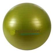 Rejuvenation Complete Support & Stability Balls   65CM 